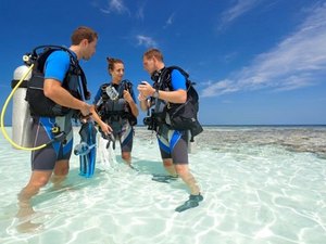 grand cayman port excursions Grand Cayman Beginner Discover SCUBA Diving Excursion