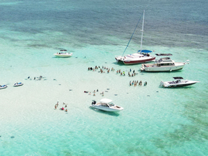 Grand Cayman Catamaran Sail with Stingray City, Snorkeling & Starfish Point Excursion