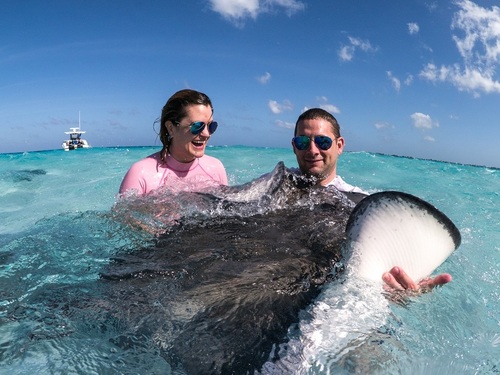 Grand Cayman stingray encounter Excursion Reviews