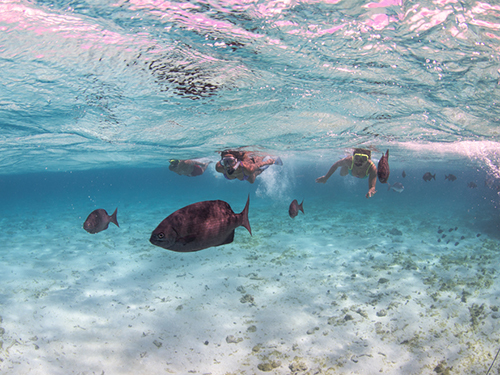 Grand Cayman Luxury Boat Private Trip Cost