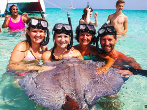 Grand Cayman Starfish Point, Stingray City Sandbar, and Barrier Reef or Coral Garden Snorkel Excursion Combo