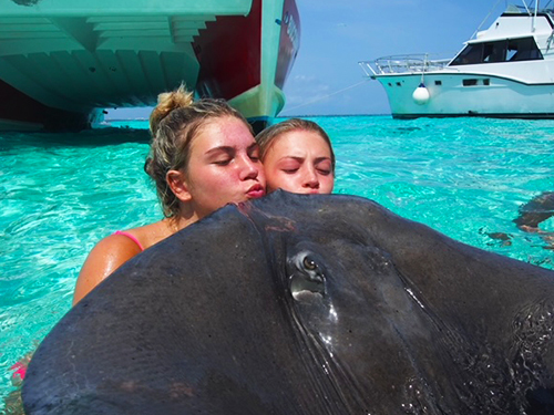 Grand Cayman Stingray City, Barrier Reef and Starfish Point Snorkeling with Seven Mile Beach Ultimate Combo Adventure