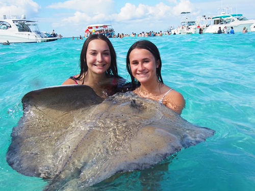 Grand Cayman Stingray City, Barrier Reef and Starfish Point Snorkeling with Seven Mile Beach Ultimate Combo Adventure