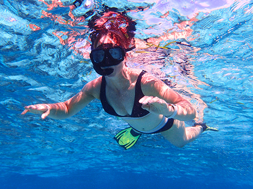 Grand Cayman Stingray City, Barrier Reef and Starfish Point Snorkeling with Seven Mile Beach Ultimate Combo Adventure