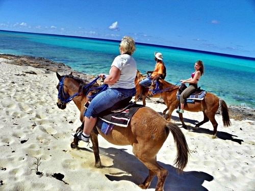 Turks and Caicos beach horseback Trip Booking