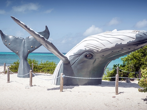 Grand Turk polaris atv Trip Booking