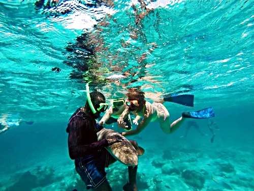 Grand Turk Turks and Caicos shallow reef snorkel Shore Excursion Prices