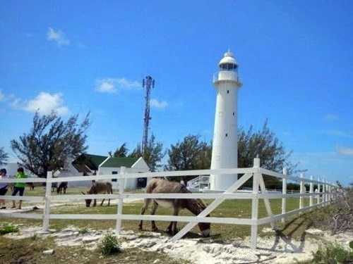 Grand Turk Off road Cruise Excursion Booking