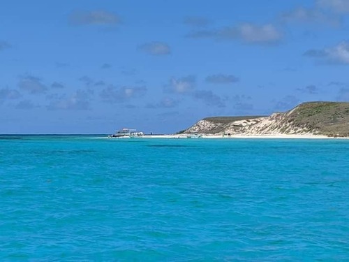 Grand Turk  Turks and Caicos Colorful Fish Shore Excursion Reservations
