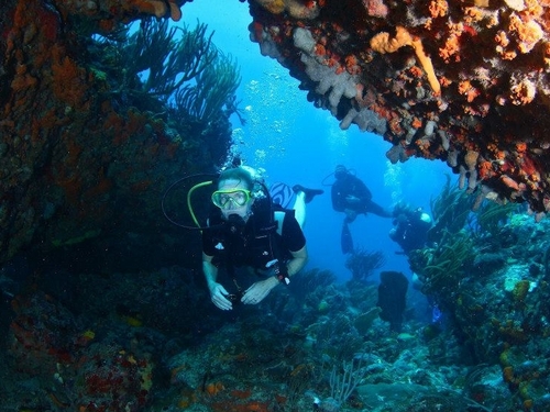 St Maarten Philipsburg PADI diving Tour Tickets
