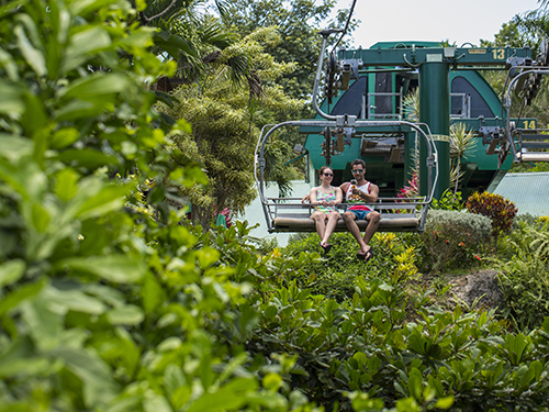 Ocho Rios bobsled Excursion Booking