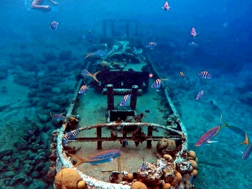 Curacao tugboat wreck snorkel Cruise Excursion Reviews