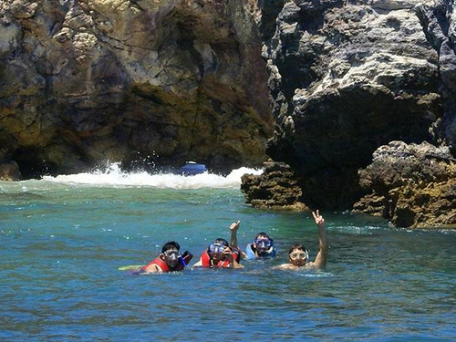 Mazatlan  Mexico deer island Tour Reviews