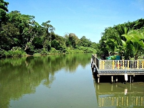 Puerto Limon limon river Cruise Excursion Tickets