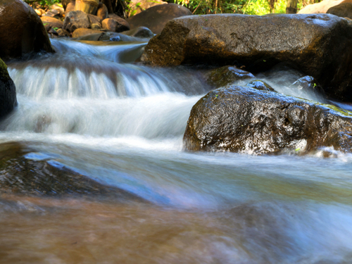 Montego Bay waterfall climb Cruise Excursion