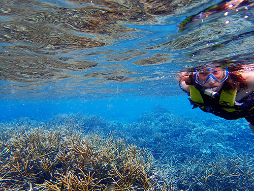 Roatan  Honduras Cordelia Banks Snorkel Shore Excursion Cost