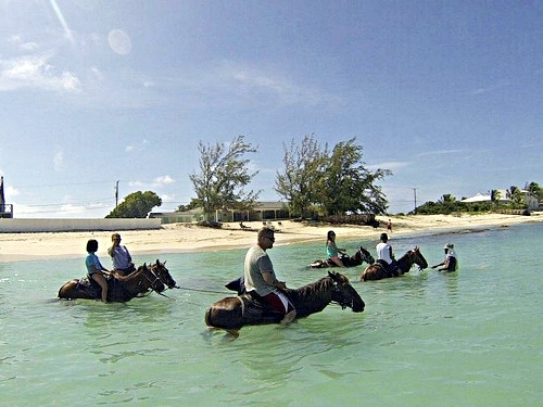 Grand Turk swim with horse Excursion Reservations
