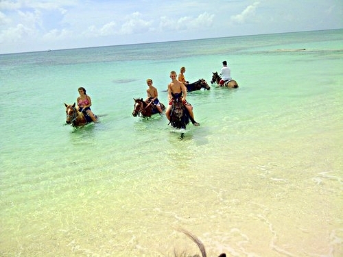 Turks and Caicos beach horseback Cruise Excursion Booking