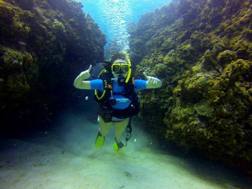 Grand Cayman George Town scuba Cruise Excursion Cost