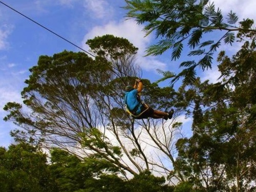 Maui Kahului canopy Trip Cost