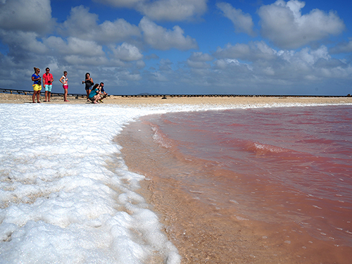 Bonaire salt flats Tour Reviews