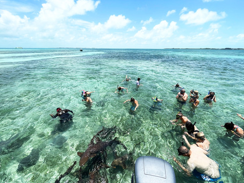 Belize boat snorkeling Shore Excursion Prices
