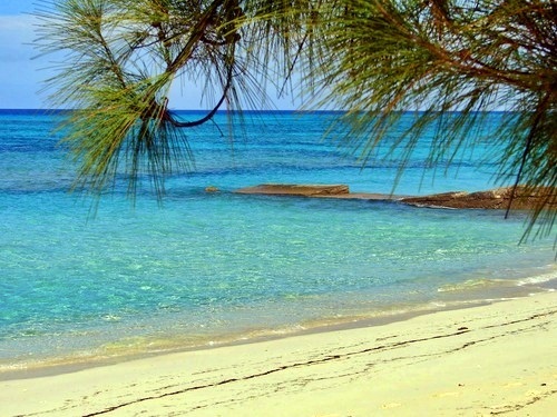 Grand Turk Turks and Caicos Off road Cruise Excursion Tickets