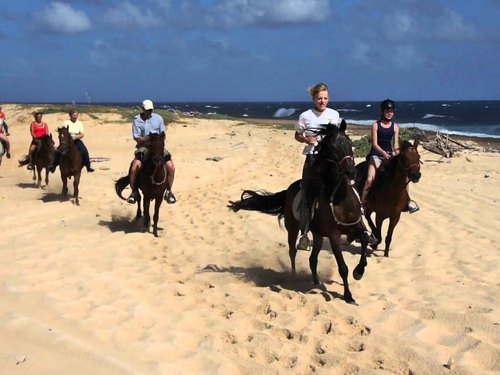 Aruba Private Horseback Riding Excursion Excursions Aruba Private Horseback Ride Trip