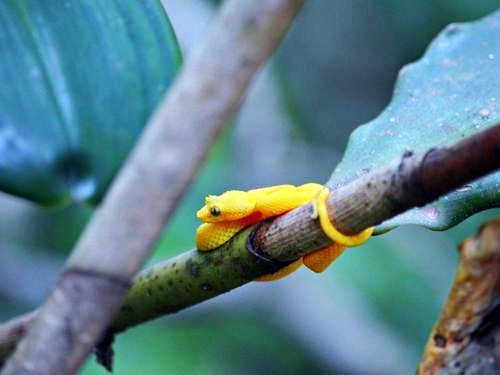 Puerto Limon  Trip Booking