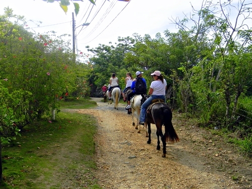Roatan  Honduras zip line Excursion Reviews