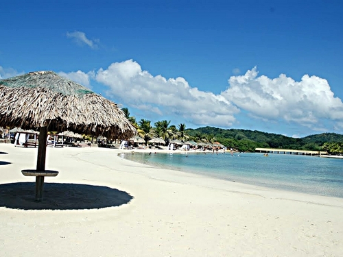 Roatan parrot tree resort Trip Prices