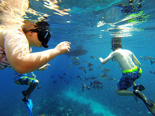 Roatan snorkel Cruise Excursion Tickets