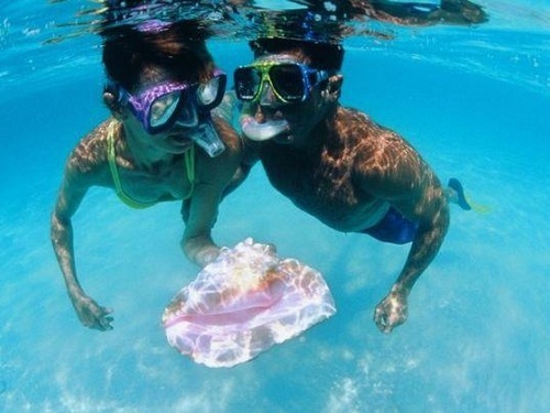 Freeport unlimited snorkeling Cost