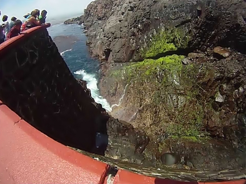 Ensenada blowhole Tickets