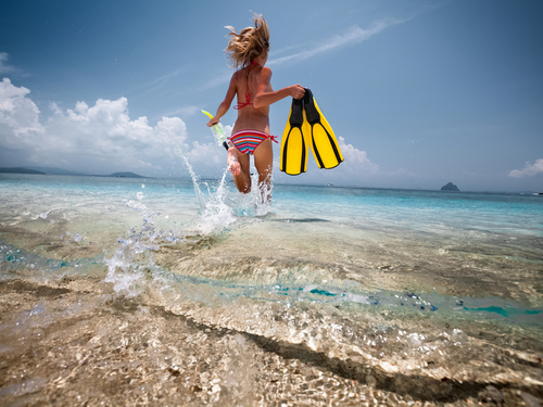 Mazatlan  Mexico wolf island Tour Reservations