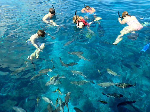 Roatan  Honduras Fun Snorkel Shore Excursion Tickets