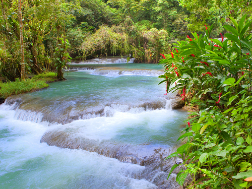 Ocho Rios Dunns Falls River Tubing Shore Excursions Booking