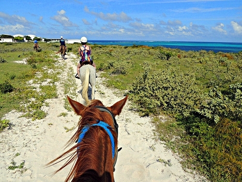 Grand Turk horseback riding Tour Reservations