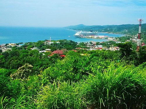 Roatan Honduras Chocolate Factory Tour Booking