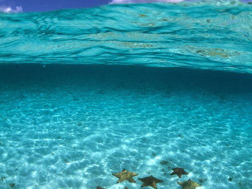 Roatan Beach Resorts The Best Beaches In World Roatan Reef Snorkeling And Mayan Princess Resort Beach Break