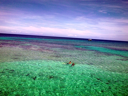 Roatan Honduras beach resort Cruise Excursion Reviews