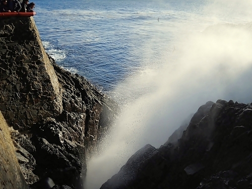 Ensenada Geyser Trip Cost