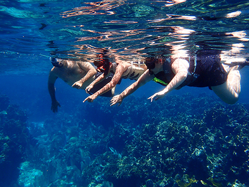 Roatan  Honduras French Key Snorkel Tour Cost