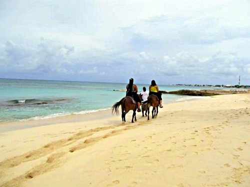 Grand Turk beach horseback Cruise Excursion Cost