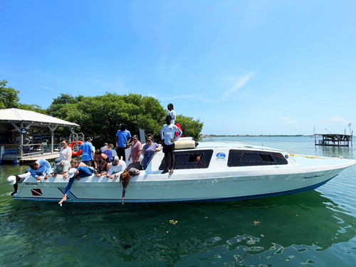 Belize  Belize City snorkeling Tour