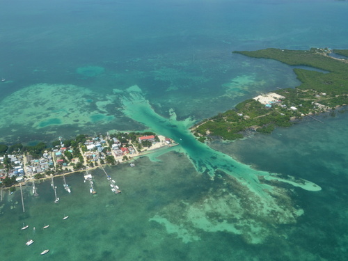 Belize  Belize City Shark Ray Alley Tickets