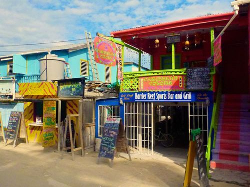 Belize  Belize City Shark Ray Alley Tickets