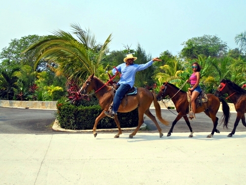 Roatan  Honduras horseback riding Excursion Cost
