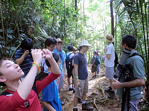 Puntarenas Costa Rica rain forest Excursion Reviews
