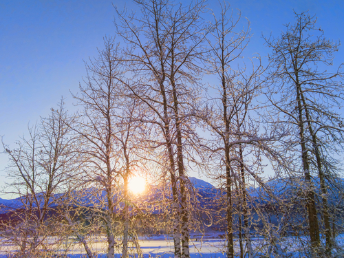 Haines  Alaska / USA Nature sights Private Excursion Reservations